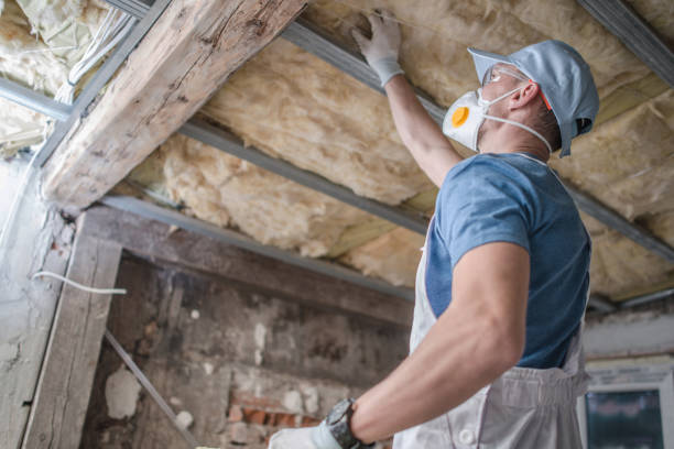 Best Residential Insulation in Weston Mills, NY